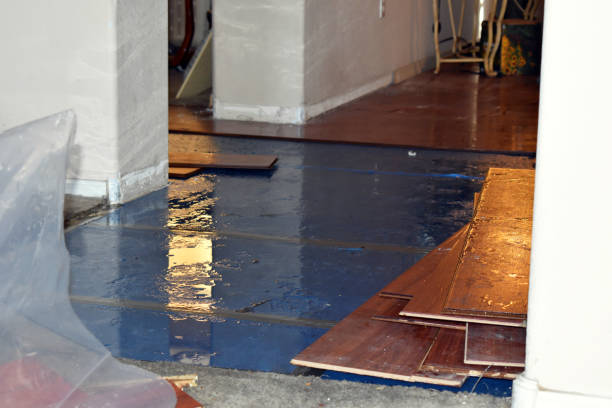 Professional Water Damage Restoration technician working in Sheridan, OR