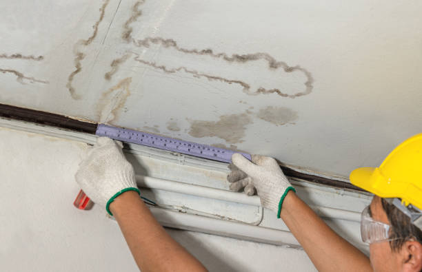 Reliable Water Damage Restoration contractor in Sheridan, OR by Water Damage Irwin